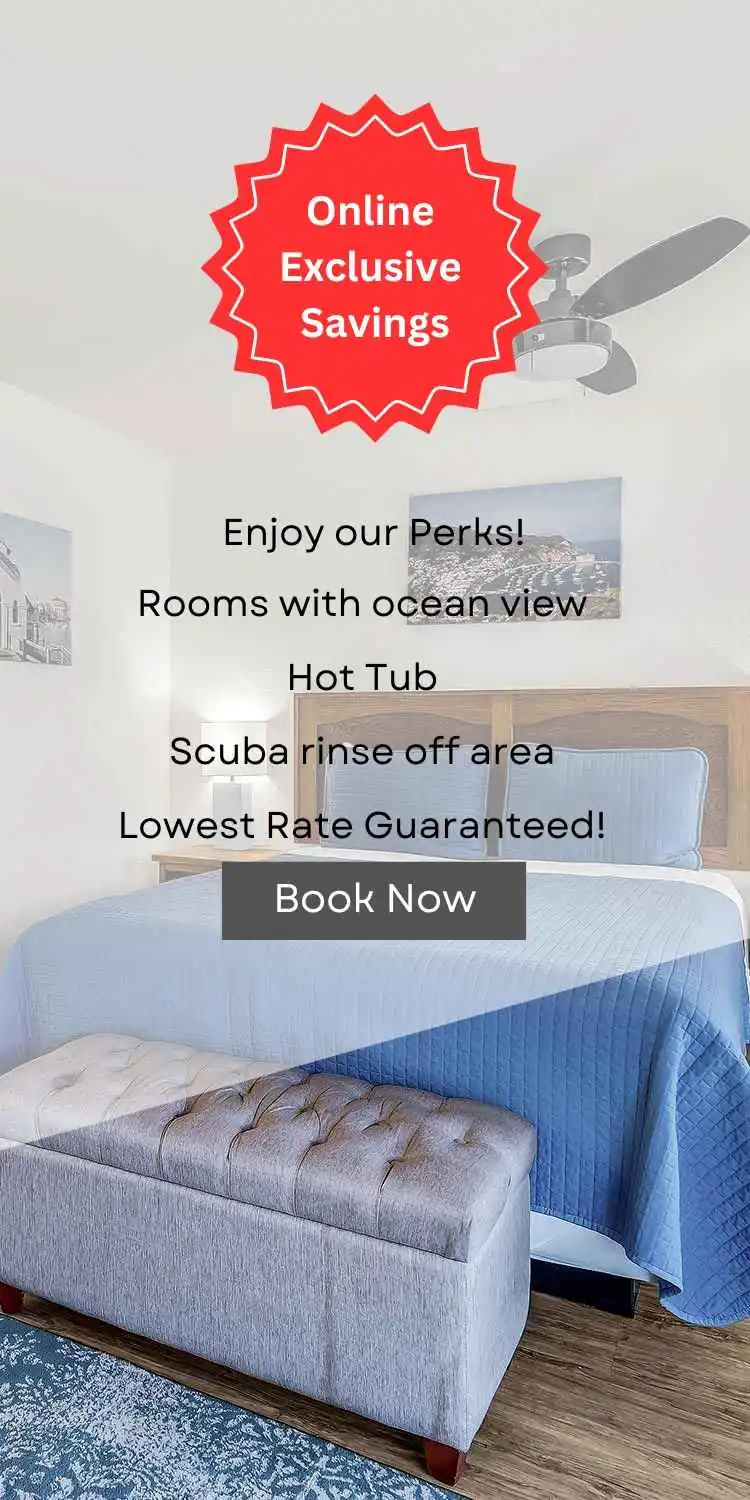 Image of guest room