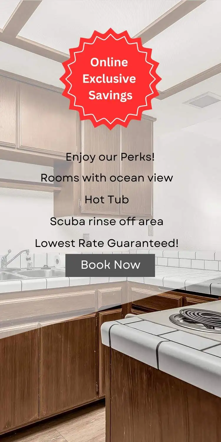 Image of kitchen