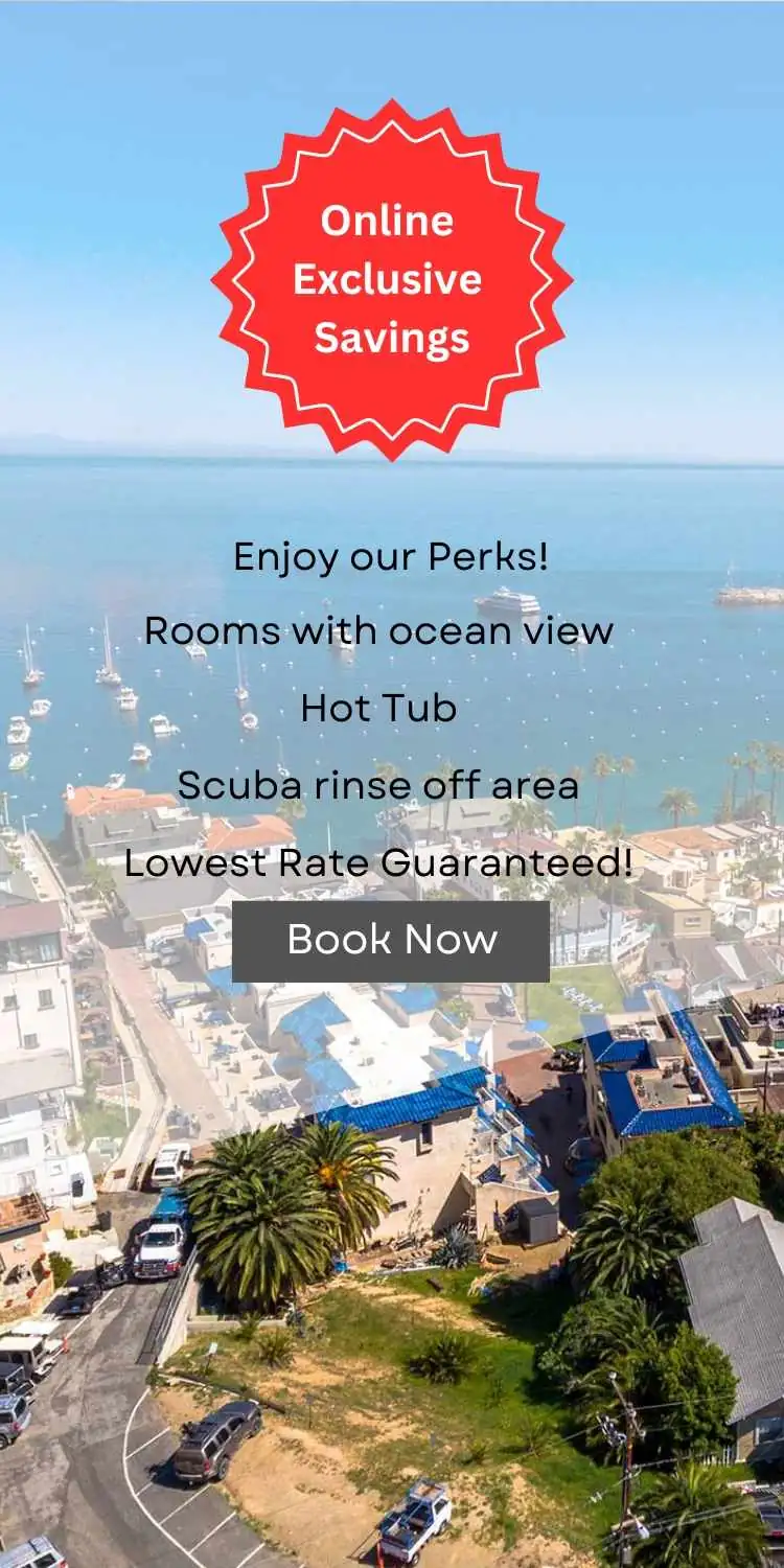 Hotel arial view